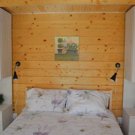 Bamboo Guest House Águeda エクステリア 写真