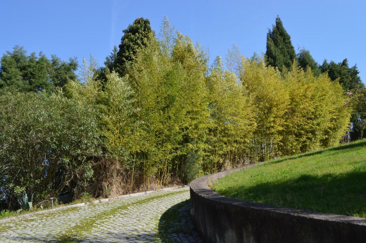 Bamboo Guest House Águeda エクステリア 写真