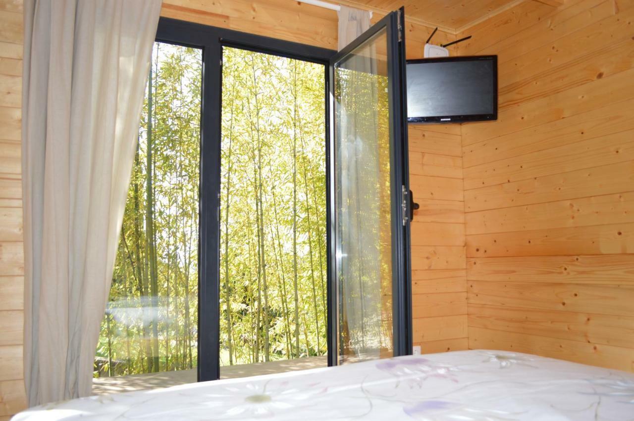Bamboo Guest House Águeda エクステリア 写真